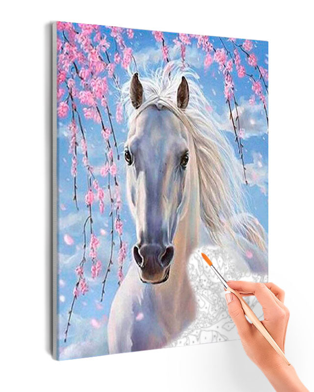 Paint By Numbers - White Horse & Blue Sky Background - Framed- 40x50cm - Arterium 